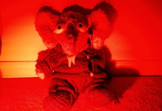 Jules, The Elephant-Wolf - wearing red light therapy goggles