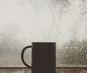 a day in the rosy life - Rosy JulieBC morning window